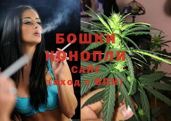 прущие грибы Гусь-Хрустальный