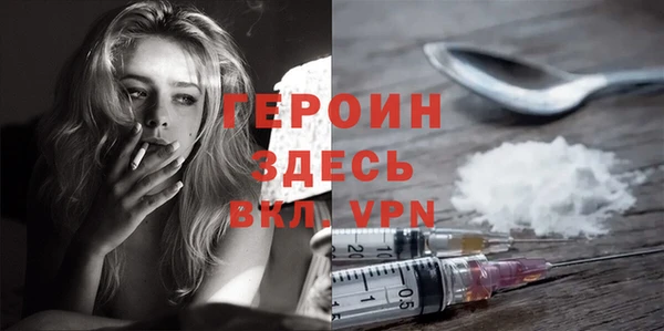 шишки Гусиноозёрск