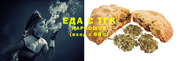 шишки Гусиноозёрск