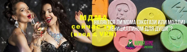 шишки Гусиноозёрск
