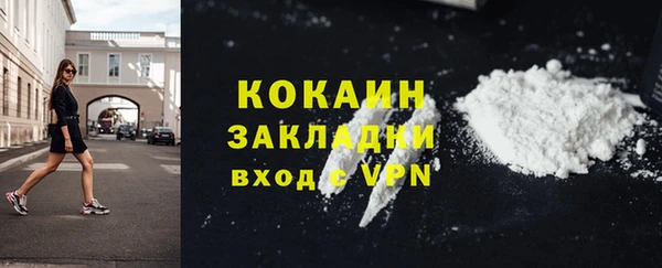 шишки Гусиноозёрск