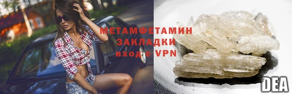 прущие грибы Гусь-Хрустальный