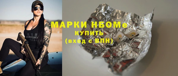 шишки Гусиноозёрск