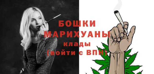шишки Гусиноозёрск