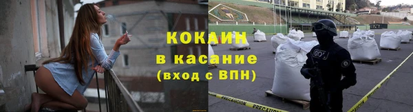 шишки Гусиноозёрск