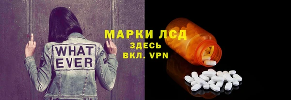 прущие грибы Гусь-Хрустальный