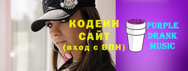 прущие грибы Гусь-Хрустальный