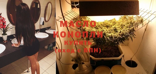 шишки Гусиноозёрск