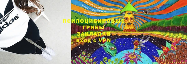 прущие грибы Гусь-Хрустальный