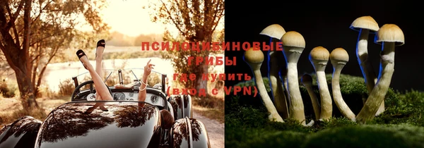 героин Горняк
