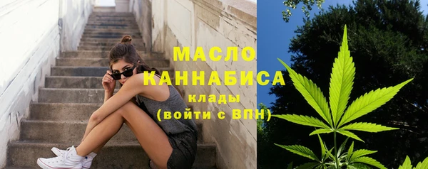 шишки Гусиноозёрск