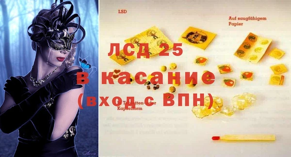 шишки Гусиноозёрск