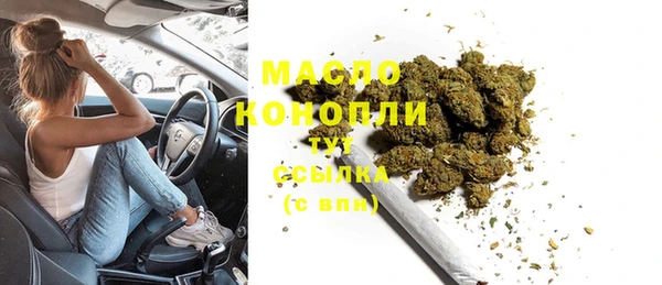 шишки Гусиноозёрск